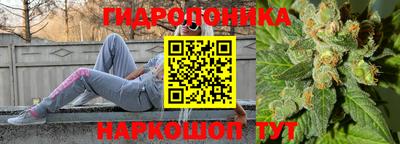 apvp Пушкино