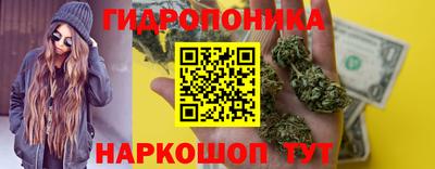 apvp Пушкино