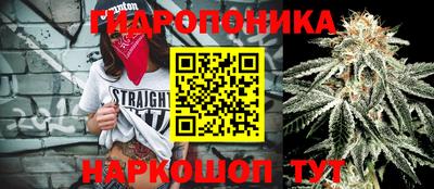 apvp Пушкино