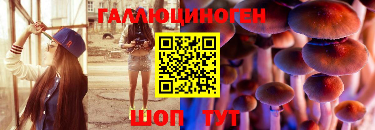 Абинск  Галлюциногенные грибы ЛСД  Псилоцибиновые грибы MAGIC MUSHROOMS  Вход с VPN 